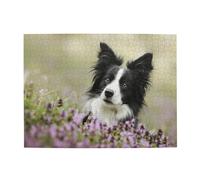 500 Piezas, Rompecabezas para Adultos, Rompecabezas desafiantes, Juego de Rompecabezas para Todos,Border Collie Césped Negro Border Collie Mascotas