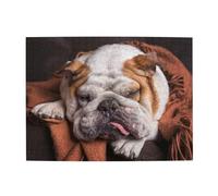 500 Piezas, Rompecabezas para Adultos, Rompecabezas desafiantes, Juego de Rompecabezas para Todos,Bulldogs ingleses Bozal Mascotas Perros durmiendo