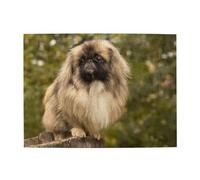 500 Piezas, Rompecabezas para Adultos, Rompecabezas desafiantes, Juego de Rompecabezas para Todos,Perro Pug Impreso