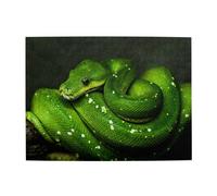 500 Piezas, Rompecabezas para Adultos, Rompecabezas desafiantes, Juego de Rompecabezas para Todos,Serpiente Reptil Verde