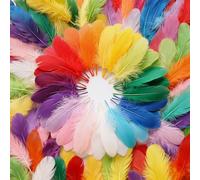 500 Plumas Coloridas 8 a 12 Colores Hechas a Mano con Certificación de Seguridad Adecuadas para Artículos Manuales de Decoración DIY Fiestas Cumpleaños Bodas