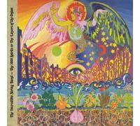 5000 Spirits Or the Layers of the Onion Original recording remastered Edition by Incredible String Band (2010) Audio CD