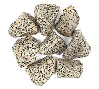 500g Cristal en Bruto de Jaspe Dálmata a Granel - Piedras de Cristal en Bruto de Jaspe Dálmata para Tumbling, Rocas para Fuentes, Decoración, Pulido, Wicca y Sanación con Cristales Reiki