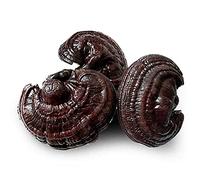 500g Té De Hierbas Ganoderma Silvestre Orgánico Chino Original De Vegano Sin Cafeína Tea Perfumado Sin Aditivos Alimento Orgánico Verde Que Alivia El Estrés Tee De Frutas Nutritivo