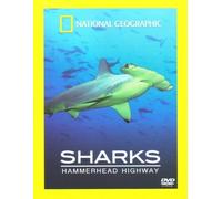 5060131313122 National Geographic Sharks - Hammerhead highway