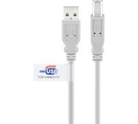 Wentronic 50831-GB - Cable USB (Clavija A y Clavija B, 2 m), Color Gris 5 m