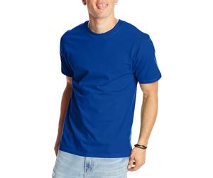 5180 HN 5180 6.1 OZ COTN BEEFY TEE DEEP ROYAL XL