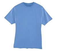 5180 HN 5180 6.1 OZ COTN BEEFY TEE LIGHT BLUE M