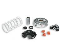 519019 Variador Malossi Multivar 2000 D.19 Piaggio Zip 50 2T 2000-
