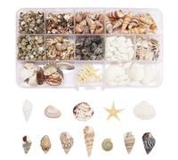 525 conchas de mar, 12 estilos de conchas para manualidades, conchas naturales, decoración con caracoles marinos, estrellas de mar y caja de recepción, conchas marinas mixtas para hacer joyas