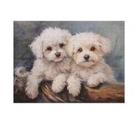 52x38cm/1000pcs Rompecabezas para Adultos Two White Poodle Puppies Rompecabezas para Adultos Juguetes Antiestrés Regalos para Mujeres para Cumpleaños, Navidad 52x38cm/1000pcs