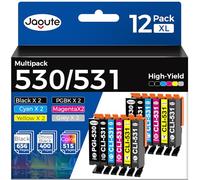 530 531 Cartuchos Compatible para Canon PGI-530 CLI-531 Cartuchos de Tinta | Compatible para Canon PIXMA TS8750 Cartuchos TS8751 Cartuchos 530 531 XXL PGI-530XL CLI-531XL (12 Pack, PGBK/BK/C/M/Y/GY)