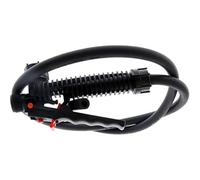 564605002 - Mango de gatillo y manguera de repuesto para pulverizador Ryobi P2804 One+ de 4 galones