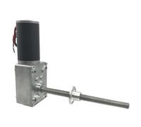5840-31ZY M8 longitud del eje 116mm DC12V 24V motor de reducción de engranaje de tornillo sin fin velocidad PWM de bloqueo automático 12/16/27/40/80/160/260/470RPM(24V 27rpm)
