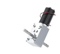 5840-31ZY Motor de CC de doble eje 12 V/24 V alto par 70 KG.CM todo engranaje de Metal eje D 1 Uds(Single Motor,1000)