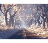 5D Cuadrado Diamond Painting Conjunto Completo, Carreteras Del Parque DIY Arte de Mosaico Digital，Adulto Niño Juguetes Divertidos，Decoración de Paredes Domésticas Regalos De Año Nuevo 60x50cm T8ZY-166