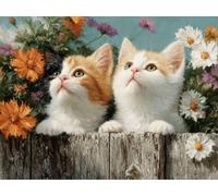 5D Cuadrado Diamond Painting Conjunto Completo, Gato Vallado DIY Arte de Mosaico Digital，Adulto Niño Juguetes Divertidos，Decoración de Paredes Domésticas Regalos De Año Nuevo 100x90cm T8ZY-791