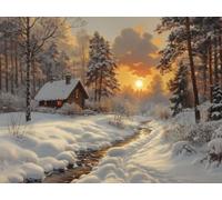 5D Cuadrado Diamond Painting Conjunto Completo, Hermoso Invierno DIY Arte de Mosaico Digital，Adulto Niño Juguetes Divertidos，Decoración de Paredes Domésticas Regalos De Año Nuevo 50x40cm T8ZY-525