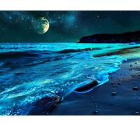 5D Cuadrado Diamond Painting Conjunto Completo, Luna De Playa DIY Arte de Mosaico Digital，Adulto Niño Juguetes Divertidos，Decoración de Paredes Domésticas Regalos De Año Nuevo 40x30cm T8ZY-690