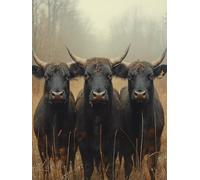 5D Diamond Painting Adultos Buey Dibujos Con Diamantes Animal, Pintar Con Diamantes kit Bordado Principiantes DIY Full Drill Cuadrado Embroidery Kit Pintura per Decorazioni Casa Pareti 30x40cm 6-I552R