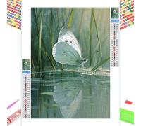 5D Diamond Painting Adultos, Mariposa & Verde Pintura de Diamantes Kit Completo, Cuadros Diamantes 5D Taladro Completo, Manualidades Adultos Bordado de Cristales, Decor de Pared Hogar 40x60cm 1Z-588