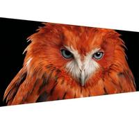 5D Diamond Painting Adultos PáJaro Diamond Painting Niños BúHo Cuadro Diamantes DIY Kit Manualidades Adultos 5D Full Drill Round Completo Punto de Cruz para Decoración Hogar, Regalo 40x80cm L-1Z44