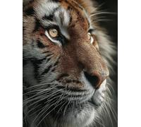 5D Diamond Painting Animal, Diamond Painting Adultos Tigre, Cuadro Diamante Accesorios Kits, DIY Dibujos con Diamantes Art Kit Manualidades Adultos, Primavera Decoracion, Regalo Mujer, 60x90cm 1-9246