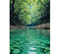 5D Diamond Painting Bosque, Diamond Painting Adultos RíO, DIY Manualidades Adultos Kit Punto de Cruz, Cuadro Diamantes Rhinestones Bordado Artesanías, para Decoración Hogar Regalo 80x110cm H-5043