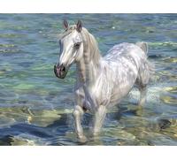 5D Diamond Painting Caballo Diamond Painting Kit 80x50cm 3-2PMP9