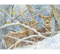 5D Diamond Painting Ciervo Diamond Painting Adultos 80x50cm 2-H6DO3