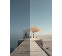 5D Diamond Painting Desierto, áRbol Diamond Painting Adultos, DIY Cuadro Diamante Accesorios, 5D Dibujos con Diamantes Art Kit Manualidades Adultos, Regalo Mujer, Otoño Decoracion Hogar 60x90cm T-6859