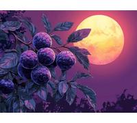 5D Diamond Painting Fruta Diamond Painting Kit 40x30cm A-W8C5Z