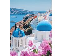 5D Diamond Painting Kit, Isla De EnsueñO DIY Redondo Diamante del Mosaico Bordado Arte, Aplicable Para Adultos y Niños, Casa Dormitorio Oficina Decoración Regalos Femeninos 50x100cm P7CL-539