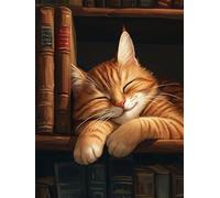 5D Diamond Painting Kit, SonáMbulo De Gato DIY Redondo Diamante del Mosaico Bordado Arte, Aplicable Para Adultos y Niños, Casa Dormitorio Oficina Decoración Regalos Femeninos 70x140cm P7CL-488