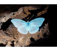 5D Diamond Painting Mariposa, Pintura Diamante Animal Patrón Diseño DIY Diamond Painting Adultos Manualidades Completo Punto de Cruz Diamante Kit para Decoracion Hogar, Regalo 120x90 cm -zjn25011B7