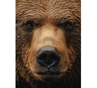 5D Diamond Painting Oso Diamond Painting Adultos Animal Dibujos con Diamantes Manualidades Adultos DIY Strass Full Drill Round Punto de Cruz Kit Completo para Decoración Hogar, Regalo 60x90cm H-Y789