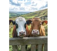 5D Diamond Painting Pradera Pintura Diamante Vaca Diamond Painting Kit Completo, DIY Punto de Cruz Manualidades Adultos Dibujos con Diamantes Para Decoración Pared Hogar Regalo Mujer 20x30 cm E0-1260