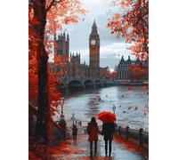 5D Diamond Painting RíO Diamond Painting Adultos, DIY Manualidades Adultos Kit Punto de Cruz Londres, Diamante Art Bordado Kit, Pintura de Diamante Para Decoración Hogar Regalo 60X70cm zyf-2365