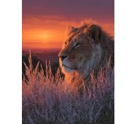 5D Diamond Painting Sunset, Diamond Painting Adultos LeóN, Cuadro Diamante Accesorios Kits, DIY Dibujos con Diamantes Art Kit Manualidades Adultos, Primavera Decoracion, Regalo Mujer, 50x70cm 7-4280