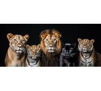 5D Diamond Painting XXL, Animales salvajes Pintura Diamante Kit Completo Manualidades Adultos Niños Regalo, Diseño de Mosaico, arte y bordado en punto de cruz, DIY Diamond Art Kit, Regalo 40x80cm f971