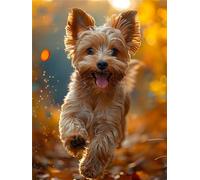 5D DIY Pintura de Diamante, Perro Diamond Painting Kit Completo, Bordado de Diamantes Cristal Yorkshire Cuadros de Diamantes por Números para Niños Adultos, Decoración Pared del Hogar, Regalo 30x40cm