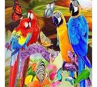 5D DIY pintura diamante taladro completo kit de punto de cruz Diamond painting kits para adultos y niño bordado cristal Cuadros Diamante arte Craft para Decor de Casa(Loro colorido,90x120cm/36x48in)