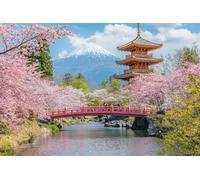 5D Flores De Cerezo Diamond Painting Art, Paisajes Diamante Kit Manualidades Adultos, Diamond Painting Niños Kit, Cristal Punto de Cruz Pintura de Diamante, Para Decoración Del Hogar 70x90cm -37893