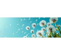 5D Grande Diamond Painting 100 x 300 cm, DIY Manualidades Adultos Pintura de Diamantes, Diamond Art Cuadros, Punto Cruz Bordado Cristal, Estrás, Manualidades Decor, Cielo Diente De León TU0N-203