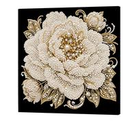 5D Pearl Painting Kits with Frame,30x30cm Flower Dot Painting DIY Pearl Gem Paintings Picture Arts Craft for Adults/Beginners Gift Tabletop and Wall Mounting Home Decor