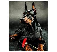 5D Pintura Diamante Perro Doberman 30x40cm DIY 5D Diamond Painting Kits de Taladro Completo Full Drill Rhinestone Cross Stitch Picture Craft para la Decoración de la Pared del Hogar Gift(12x16in)
