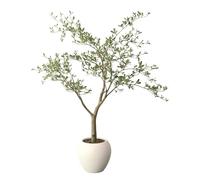 5ft Faux Black Olive Tree Indoor, Tall Artificial Tree with Natural Trunk and Realistic Leaves for Home Office Décor, No Watering Needed