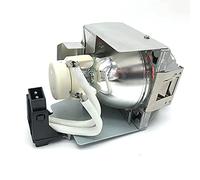 5J.J7L05.001 Compatible W1070 W1070+ W1080 W1080ST HT1085ST HT1075 W1300 P-VIP 240/0.8 E20.9n Bombilla de lámpara de proyector Compatible con bombilla de lámpara de repuesto BenQ (Color : 5j.j7l05.001