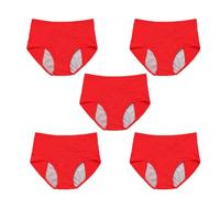 5Pcs Reusable Incontinence Underwear for Women, High Waisted Leak Resistant Briefs for Heavy Flow Full Coverage Protective (Red,5XL)