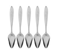 5Pcs Stainless Steel Bird Feeding Spoon | No Leak Design for Parrots/Cockatiels/Lovebirds | Trustworthy Pet Milk Powder Spoon Set | Lightweight & Tarnish - (15cm)
